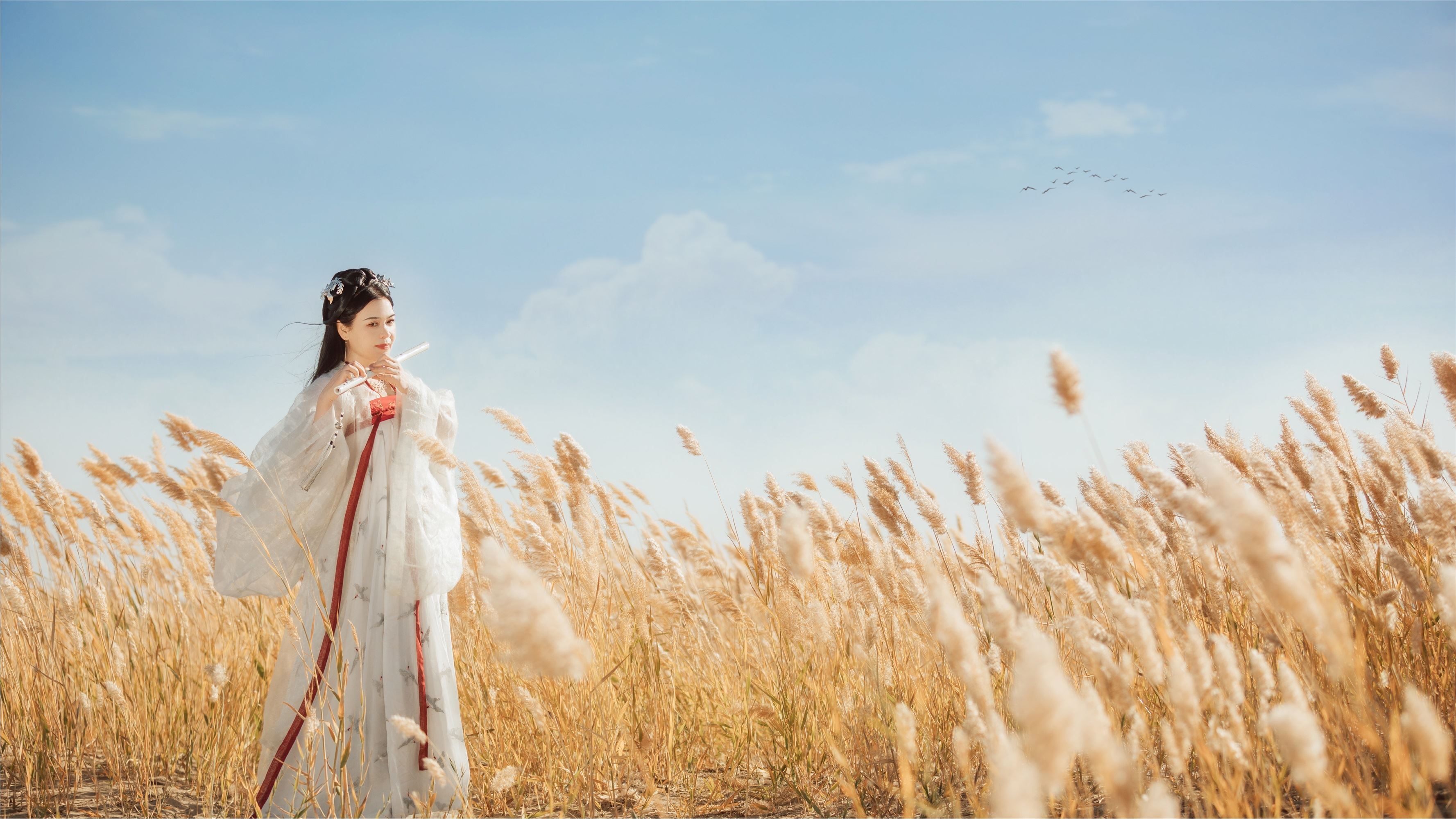 YITUYU艺图语 2021.08.31 吹梦到西洲 薄菏